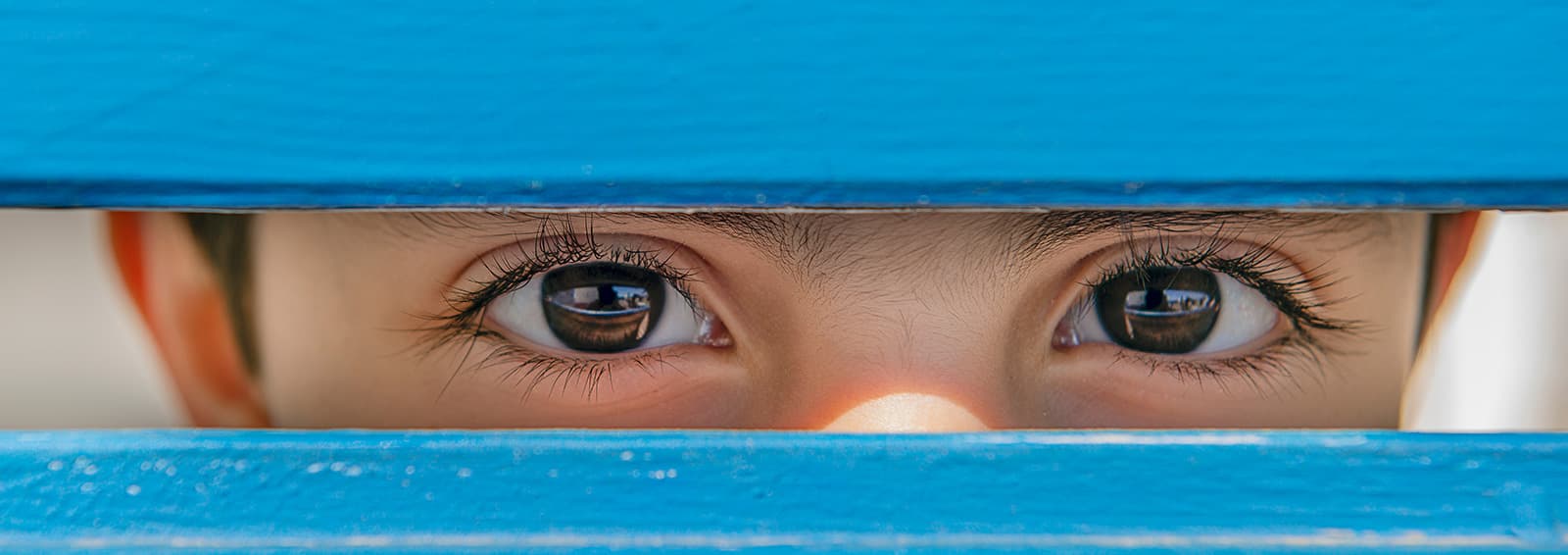 boy looking through blue fence